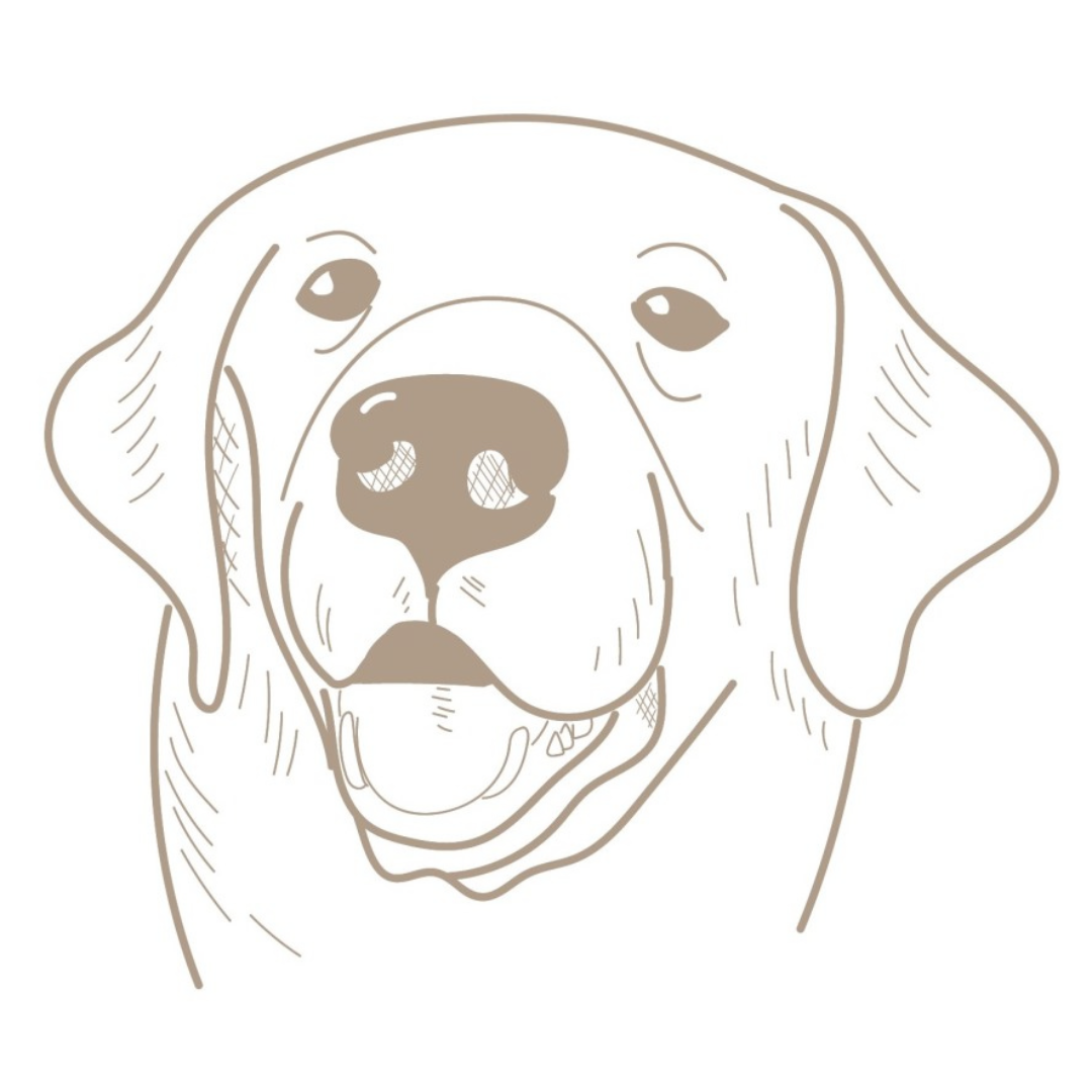 low opacity version of line drawing of dog